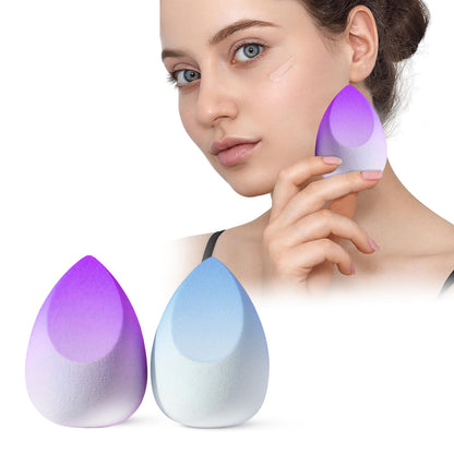 Scn Beauty Makeup Sponge Beauty Blender -  (Pack of 2)
